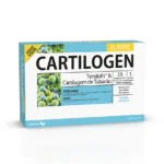 cartilogen elastic