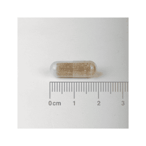Ashwagandha 6000mg 60 Cápsulas Lamberts