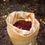 Café artesanal de origem Quénia em embalagem de 250 gramas, com grãos selecionados e torra cuidada.