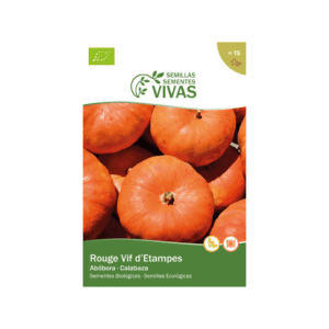 Abóbora Rouge Vif d'Étampes orgânica, variedade tradicional de cor laranja intensa, em exibição sobre superfície rústica.