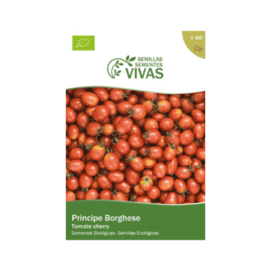 Tomate cherry Príncipe Borghese maduro com sementes vivas, ideal para cultivo doméstico ou agrícola.