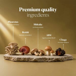 Dr. Immune Five 250ml Hifas da Terra suplemento líquido com cogumelos medicinais para apoio do sistema imunitário