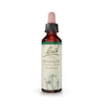 Centaury Floral de Bach Original em frasco de 20 ml, essência floral tradicional para equilíbrio emocional.