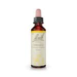 Cerato Floral de Bach Original em frasco de 20 ml, essência floral tradicional para apoio ao bem-estar emocional.