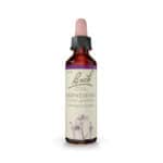 Impatiens Floral de Bach Original em frasco de 20 ml, essência floral tradicional associada ao bem-estar emocional