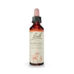 Mimulus Floral de Bach Original em frasco de 20 ml, essência floral tradicional associada ao bem-estar emocional.