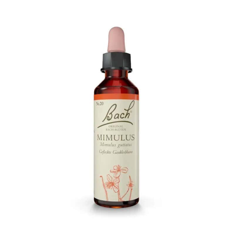 Mimulus Floral de Bach Original em frasco de 20 ml, essência floral tradicional associada ao bem-estar emocional.