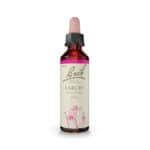Larch Floral de Bach Original em frasco de 20 ml, essência floral tradicional associada ao bem-estar emocional.