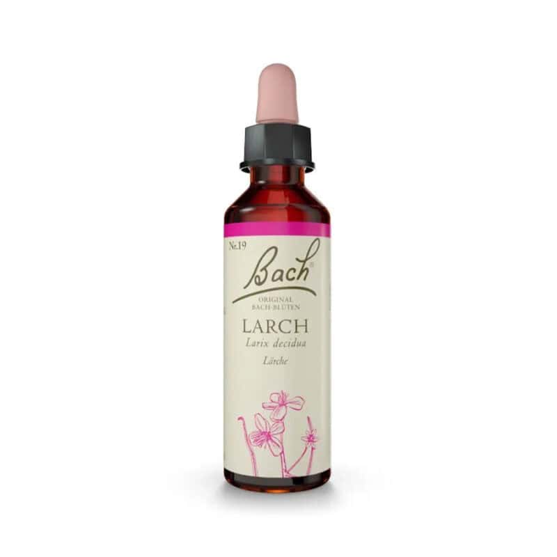 Larch Floral de Bach Original em frasco de 20 ml, essência floral tradicional associada ao bem-estar emocional.