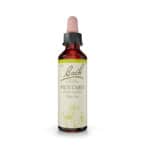 Mustard Floral de Bach Original em frasco de 20 ml, essência floral tradicional associada ao bem-estar emocional.