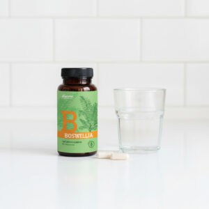 Boswellia 60 Cápsulas Dharma Botanicals suplemento alimentar com extrato de Boswellia serrata para articulações e bem-estar digestivo.
