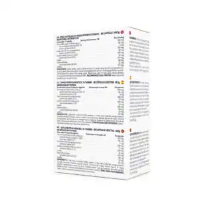 T4 Thermo 60 cápsulas da SunTree, suplemento alimentar com cafeína, colina e extratos vegetais como guaraná, erva-mate e café verde.