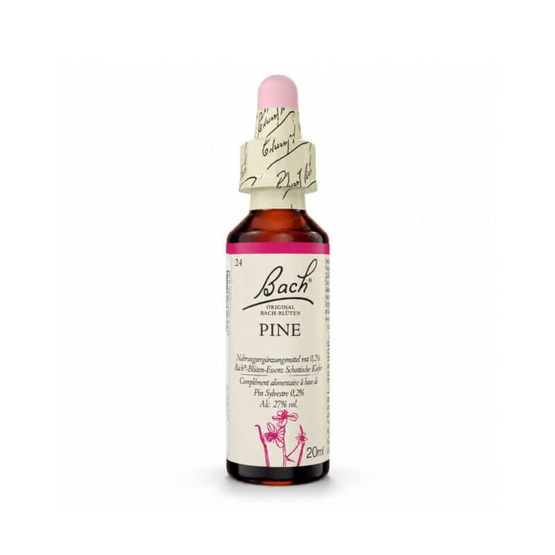 Pine 20ml Floral de Bach, essência floral em gotas para integrar uma rotina de bem-estar emocional.