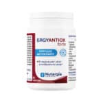 ErgyAntiox Forte Nutergia, suplemento alimentar com vitaminas, minerais e extratos vegetais, em embalagem de 60 cápsulas.